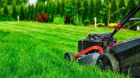 Lawn mower cutting a green lawn